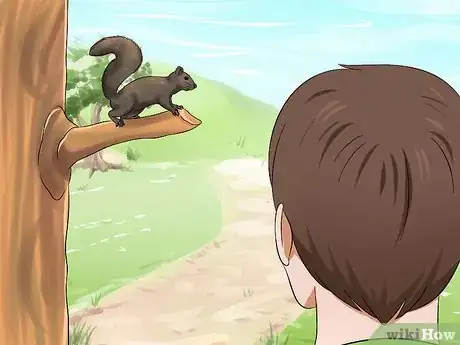 Imagen titulada Raise a Baby Squirrel Step 1