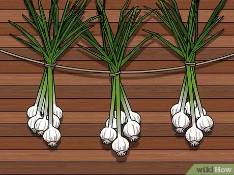 Imagen titulada Braid Garlic Step 10