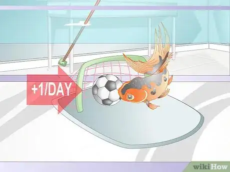 Imagen titulada Play With a Goldfish Step 6