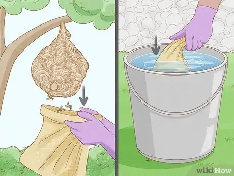 Imagen titulada Get Rid of a Wasp's Nest Step 16