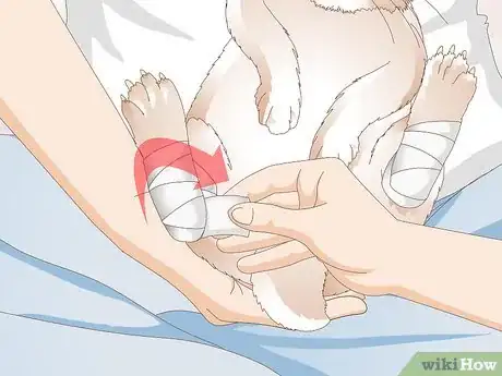 Imagen titulada Treat an Injured Rabbit's Paw Step 5