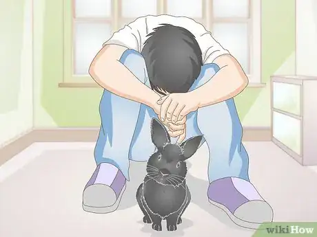 Imagen titulada Treat Wry Neck in Rabbits Step 11