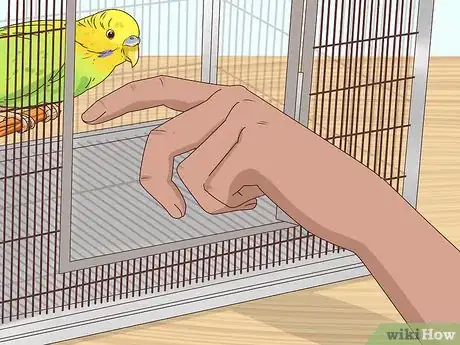 Imagen titulada Take Care of a Budgie Step 11