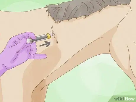 Imagen titulada Give a Horse an Injection Step 20