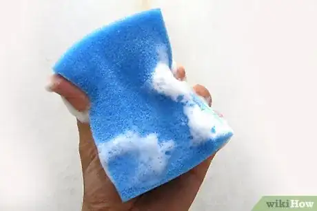 Imagen titulada Clean a Sponge Intro