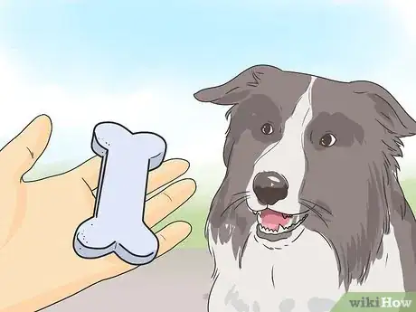 Imagen titulada Teach a Dog to Smile Step 5