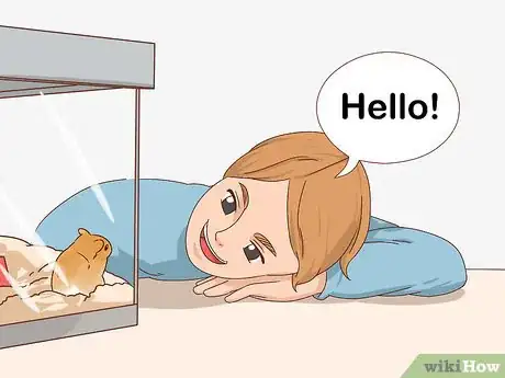 Imagen titulada React when Your Gerbil Bites or Scratches Step 7