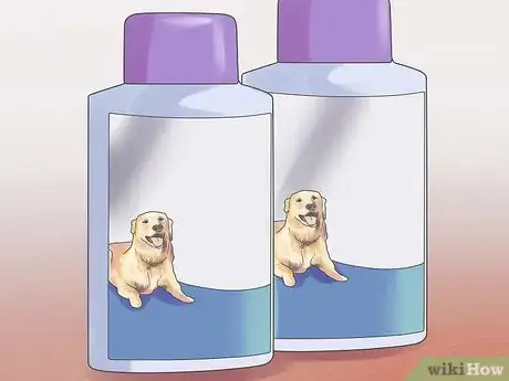 Imagen titulada Get Rid of Fleas on a Puppy Too Young for Normal Medication Step 1