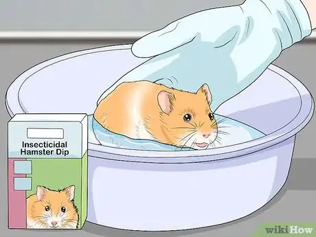 Imagen titulada Get Rid of Mites on Hamsters Step 15