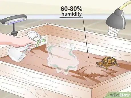 Imagen titulada Create an Indoor Box Turtle Habitat Step 13