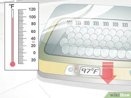 Imagen titulada Use an Incubator to Hatch Eggs Step 13