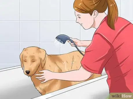 Imagen titulada Bathe a Dog and Keep It Calm Step 10