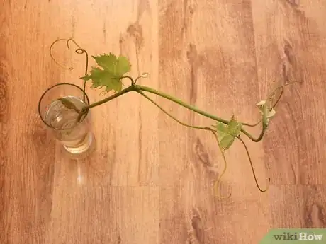 Imagen titulada Make a Grapevine Wreath Step 2