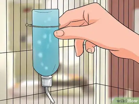 Imagen titulada Clean a Gerbil Cage Step 7