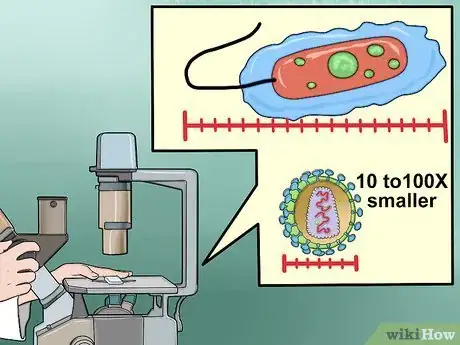 Imagen titulada Know the Difference Between Bacteria and Viruses Step 8