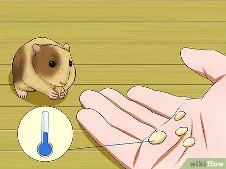 Imagen titulada Keep a Hamster Cool in Hot Weather Step 9