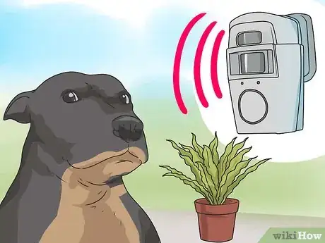 Imagen titulada Stop Your Dog from Eating Your Plants Step 6