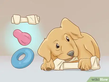 Imagen titulada Protect Furniture from Dogs Step 12