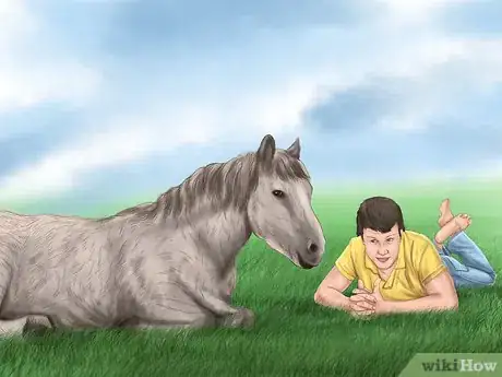 Imagen titulada Teach Your Horse to Lie Down Step 13