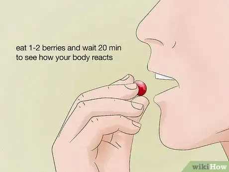 Imagen titulada Identify Common Poisonous Berries in North America Step 5