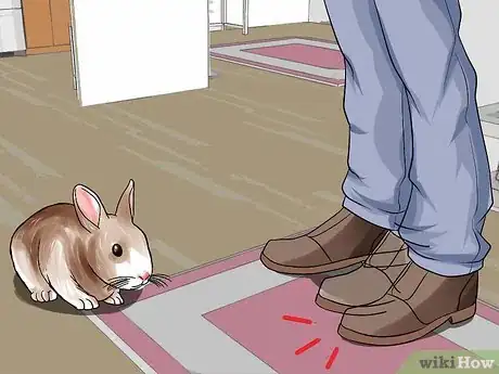 Imagen titulada Teach a Rabbit Not to Scratch Step 4