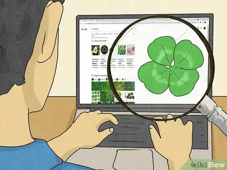 Imagen titulada Find a Four Leaf Clover Step 1