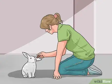 Imagen titulada Teach Your Rabbit to Come when Called Step 5