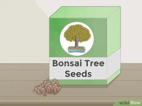 Imagen titulada Grow and Care for a Bonsai Tree Step 2