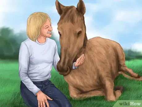 Imagen titulada Teach Your Horse to Lie Down Step 14