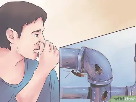 Imagen titulada Identify a Cockroach Step 18