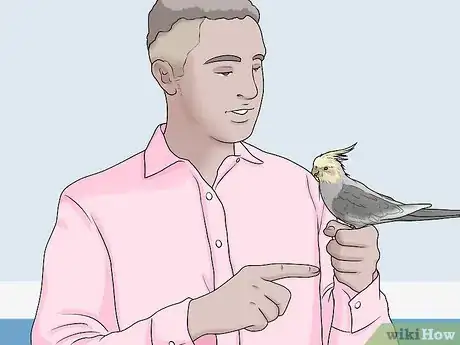 Imagen titulada Gain Your Bird's Trust Step 8