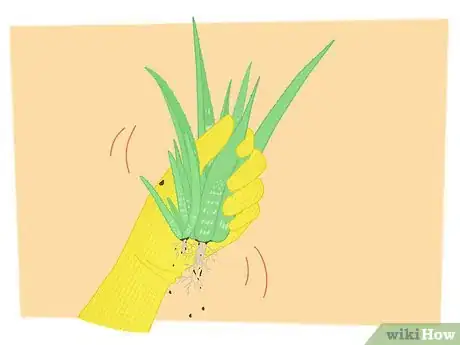 Imagen titulada Propagate Your Plants Step 2