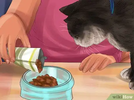 Imagen titulada Encourage Your Cat to Eat Step 2