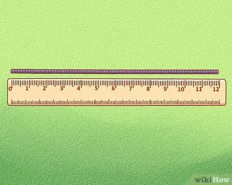 Imagen titulada Discover Pi for Yourself Using Circles Step 8