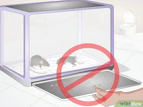 Imagen titulada Clean a Rat's Cage Step 13