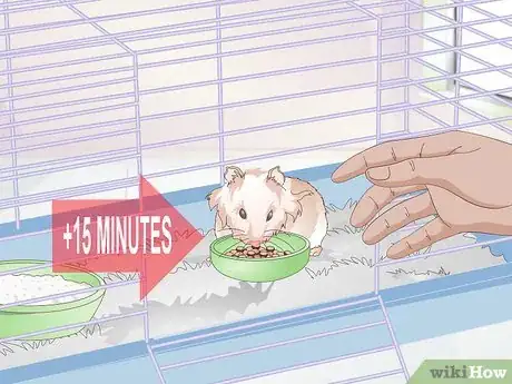 Imagen titulada Wake up Your Hamster Without Scaring It Step 14