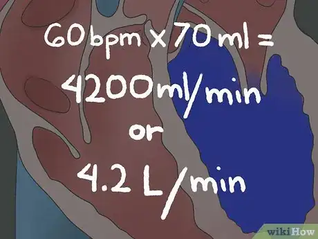 Imagen titulada Determine Cardiac Output Step 11