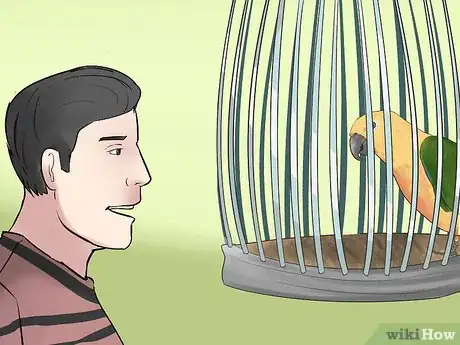 Imagen titulada Teach a Conure to Talk Step 11