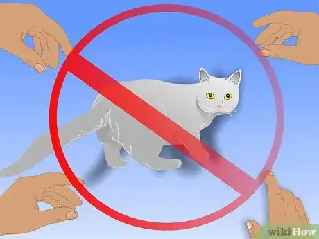 Imagen titulada Care for Physically Abused Cats Step 8