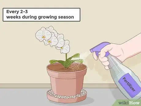 Imagen titulada Plant Orchids in a Pot Step 11