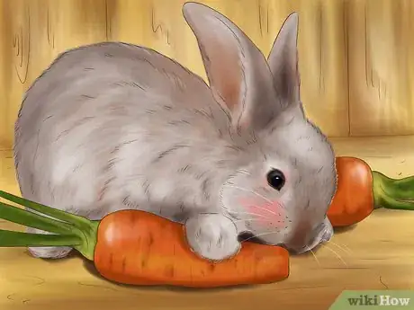 Imagen titulada Raise a Healthy Bunny Step 3