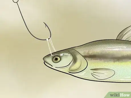 Imagen titulada Bait a Fishing Hook Step 24