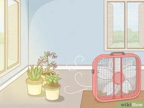 Imagen titulada Get Rid of Mold on Houseplants Step 11