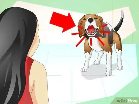 Imagen titulada Understand What Your Dog Wants Step 2