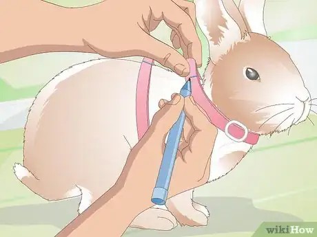 Imagen titulada Make Your Rabbit a Leash Step 9