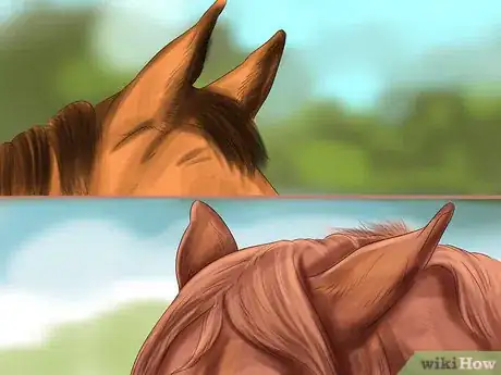 Imagen titulada Understand Horse Communication Step 2