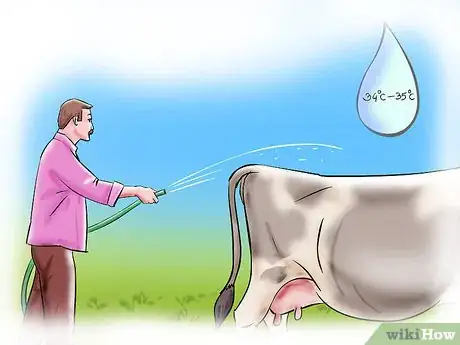 Imagen titulada Artificially Inseminate Cows and Heifers Step 4