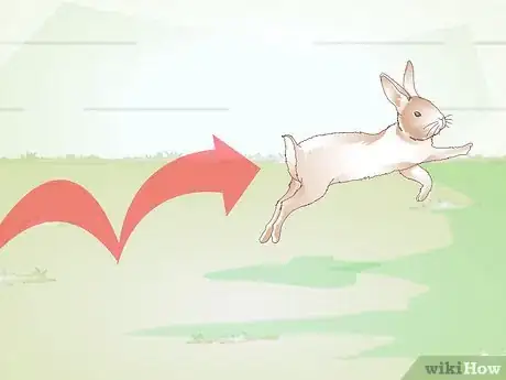 Imagen titulada Teach a Rabbit Not to Chew Furniture Step 7
