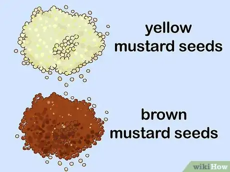 Imagen titulada Substitute for Mustard Seed Step 10