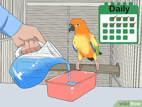 Imagen titulada Feed a Quaker Parrot Step 8